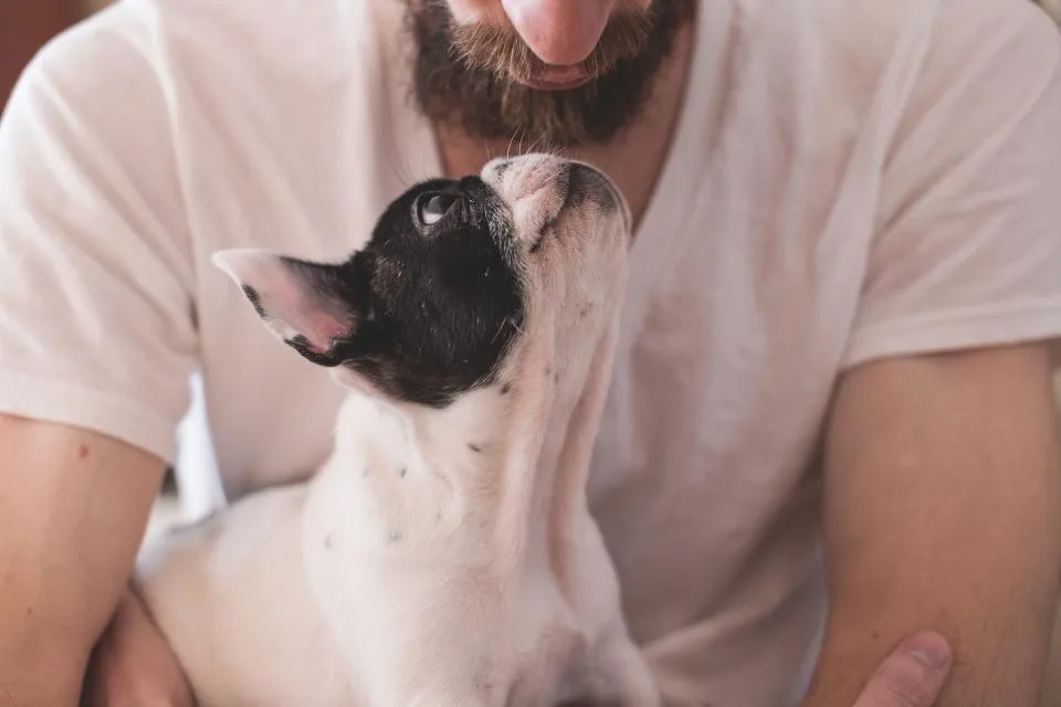 Mascota con su tutor - Salud para mascotas