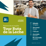 Tesoros de mi región